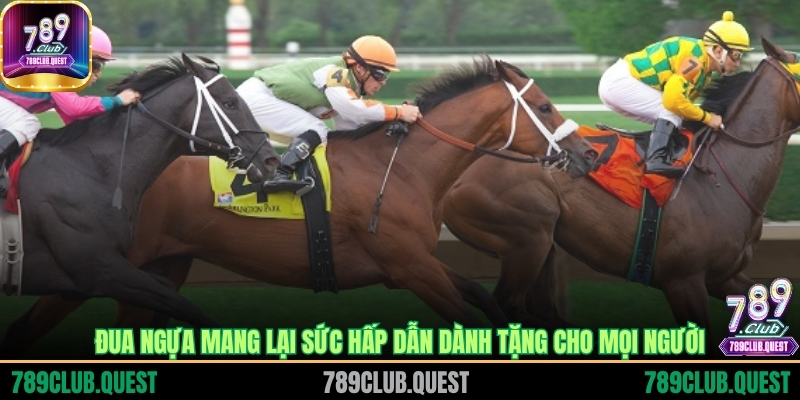 Đua ngựa mang lại sức hấp dẫn dành tặng cho mọi người