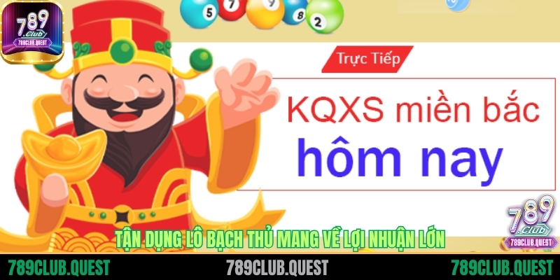 Tận dụng Lô Bạch Thủ mang về lợi nhuận lớn