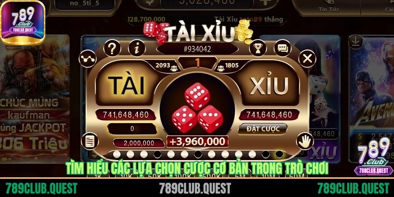 Tìm hiểu các lựa chọn cược cơ bản trong trò chơi